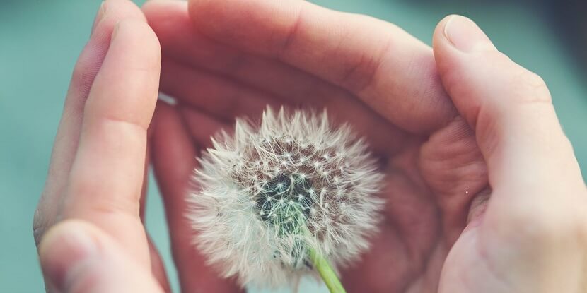 Nourishing Mental Health and Wellness