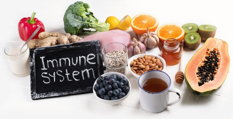 Support Your Immune System Through Establishing A Good Foundation Of ...