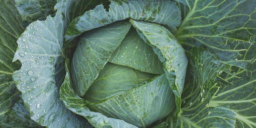 The Benefits of an Elimination Diet