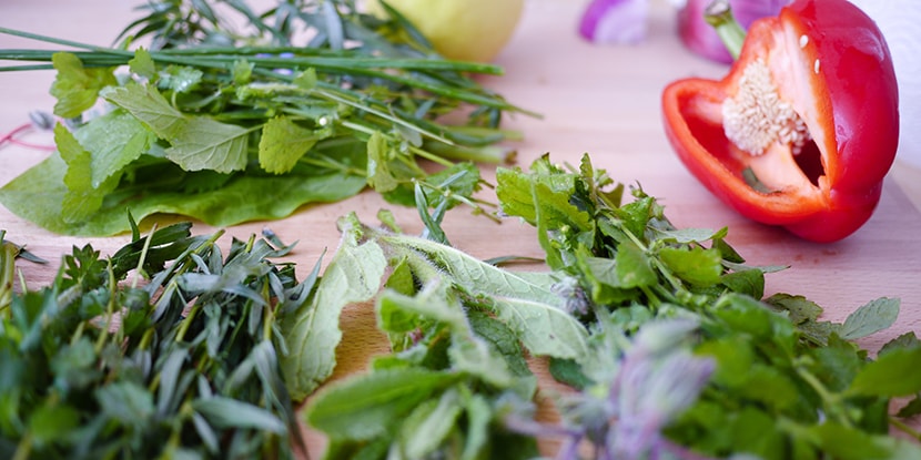 What Steps Can I Take to Reduce or Reverse Diabetes? What Steps Can I Take to Reduce or Reverse Diabetes?